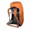 Top 10 😀 Osprey Ace 38 Kid's 🎒 Backpacking 🎒 Backpack Orange Sunset 🧨